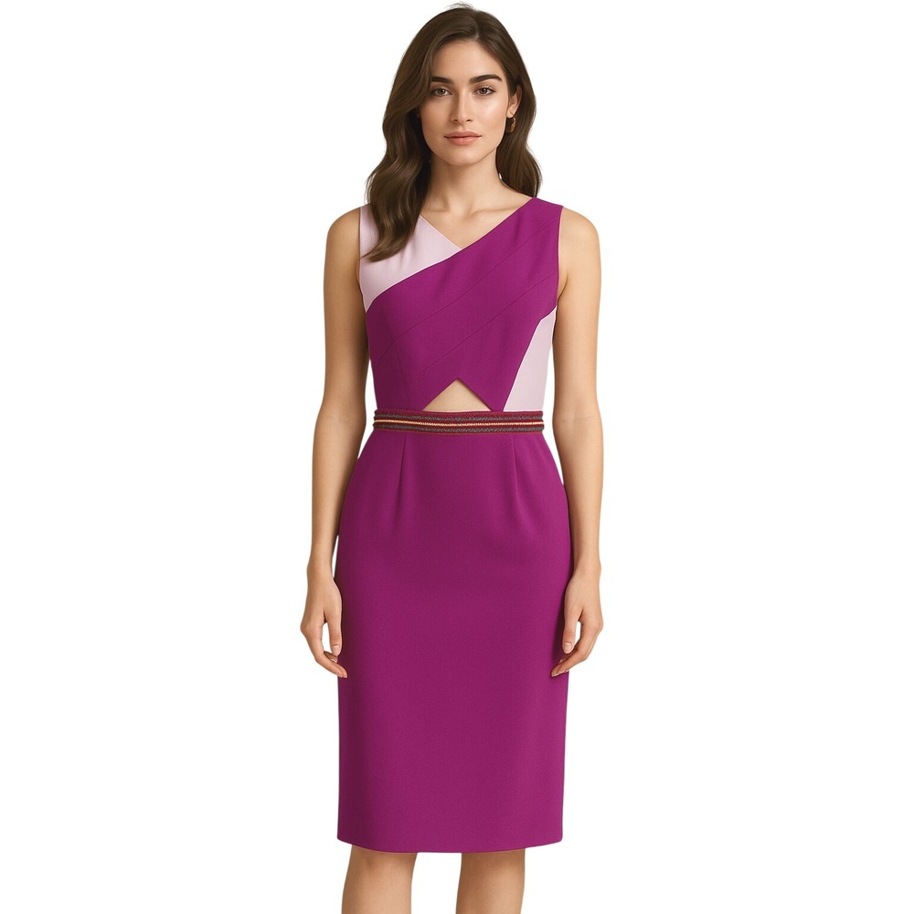 NWT NEW Pamella Roland Magenta Purple Beaded Cutout Sheath Dress Size 4